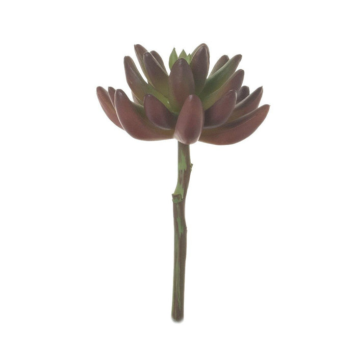 6" Burgundy Succulent Stem