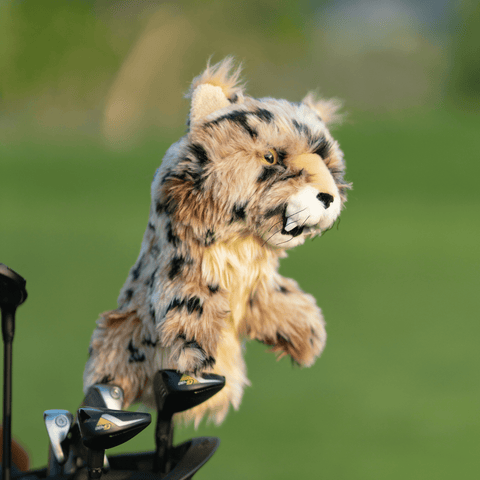 BOBCAT