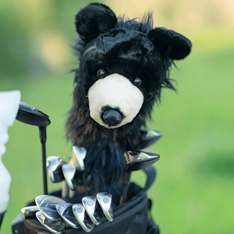 BLACK BEAR