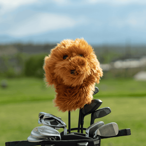 HEADCOVER DRIVER DAPHNES