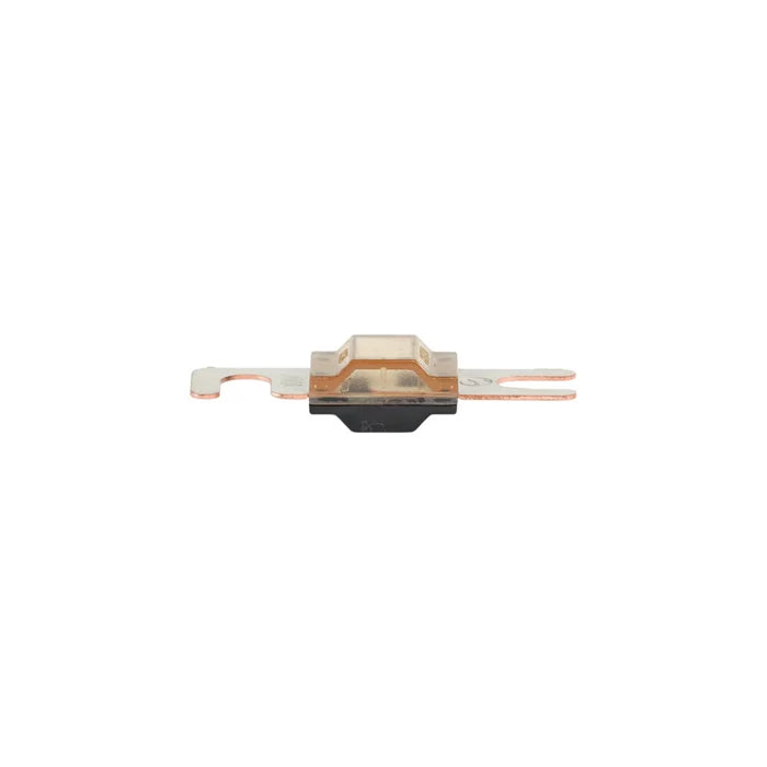 AMI ANS style fuse 200A M5 (10 pack) for 12v DC electrical systems in caravans