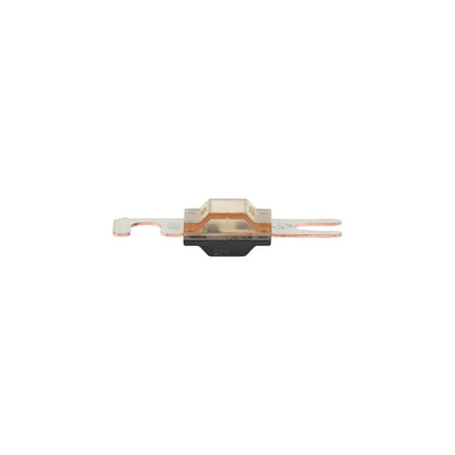 AMI ANS style fuse 200A M5 (10 pack) for 12v DC electrical systems in caravans