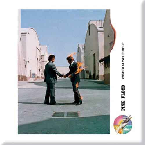 Pink Floyd Wish You Were Here Magnet