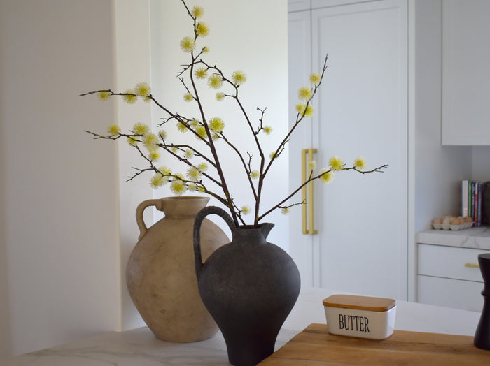 Sierra Jug