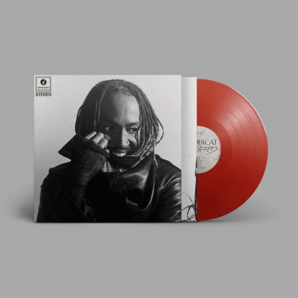 Thundercat Distracted