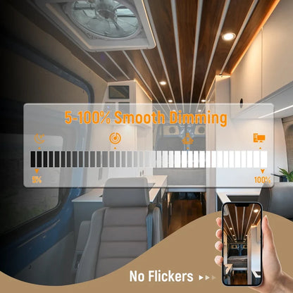 cool white LED ceiling downlight shown plainly